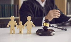 Custody Lawyers